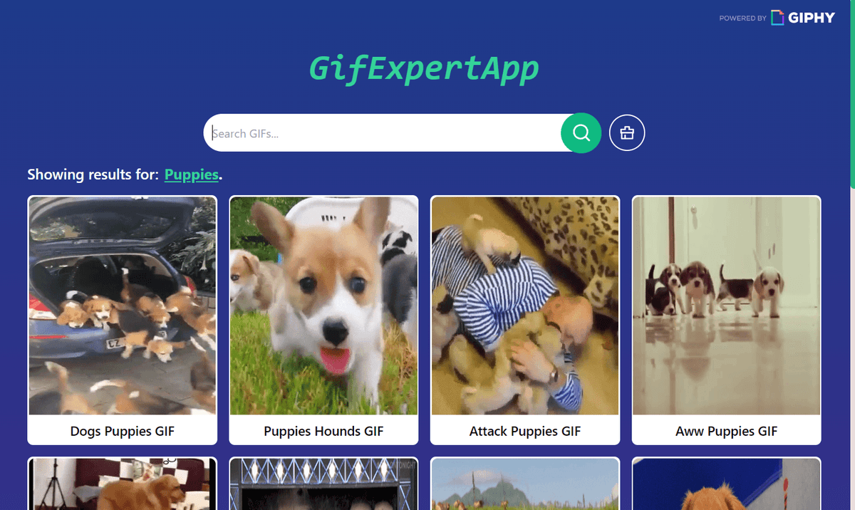 GifExpertApp
